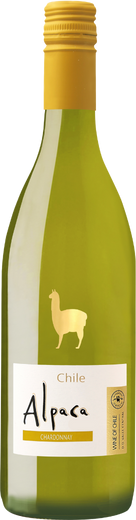 Alpaca - Chardonnay Blanc
