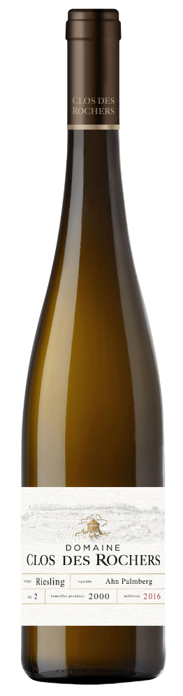 Riesling Ahn Palmberg GPC 2021